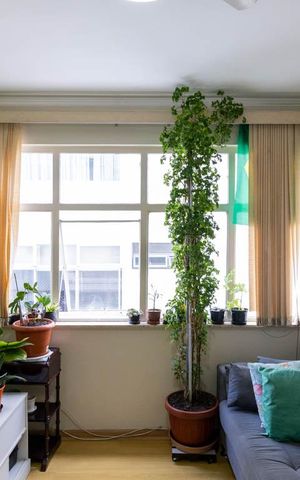 Apartamento à venda com 42m², 1 quarto e sem vaga Apartamento à venda com 42m², 1 quarto e sem vagaSala