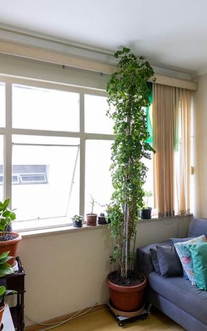 Apartamento à venda com 42m², 1 quarto e sem vaga Apartamento à venda com 42m², 1 quarto e sem vagaSala
