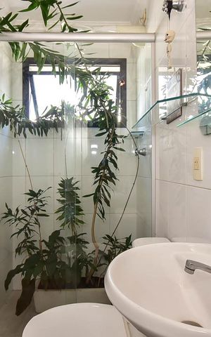 Apartamento à venda com 230m², 3 quartos e 4 vagasBanheiro da Sauna