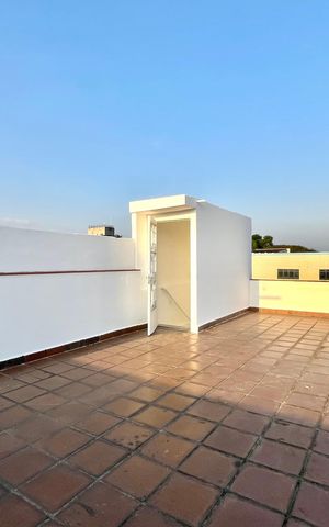 Casa à venda com 287m², 4 quartos e 8 vagasTerraço