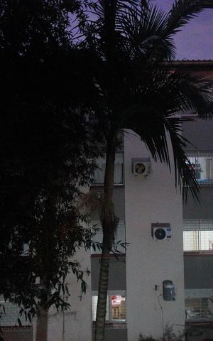Apartamento à venda com 88m², 2 quartos e sem vagaVista do Quarto 2