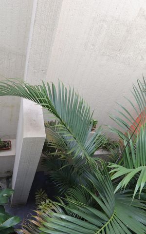Apartamento à venda com 200m², 4 quartos e 3 vagasVista da Sacada da Sala