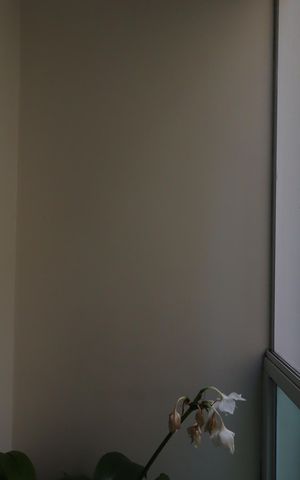 Apartamento à venda com 200m², 4 quartos e 3 vagasSacada da Sala