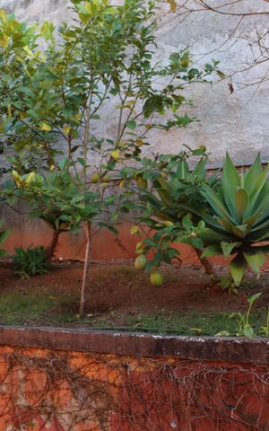 Casa de condomínio para alugar com 323m², 4 quartos e 5 vagasÁrea Externa