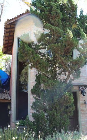 Casa de condomínio para alugar com 323m², 4 quartos e 5 vagasFachada