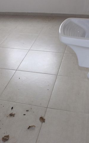 Studio para alugar com 36m², 1 quarto e sem vagaÁrea de Serviço