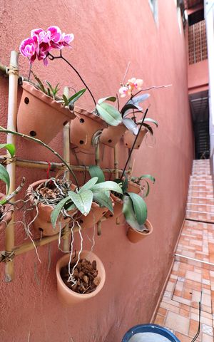 Casa à venda com 230m², 3 quartos e 2 vagasQuintal