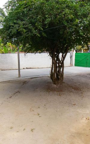 Studio para alugar com 24m², 1 quarto e 1 vaga Studio para alugar com 24m², 1 quarto e 1 vagaÁrea comum