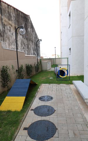 Apartamento para alugar com 35m², 2 quartos e sem vagaÁrea comum - Espaço Pet