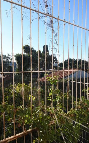 Casa à venda com 330m², 3 quartos e 6 vagasQuarto 2 - Vista