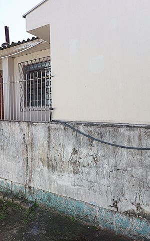 Casa à venda com 142m², 3 quartos e 3 vagasVista do Quarto 2
