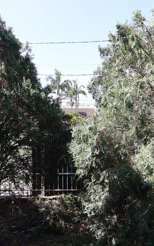 Casa à venda com 142m², 3 quartos e 3 vagasVista da Sala