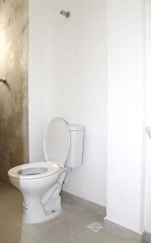 Studio para alugar com 53m², 1 quarto e sem vagaBanheiro