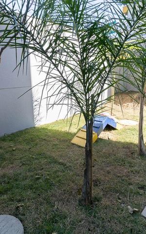 Studio à venda com 18m², 1 quarto e sem vaga Studio à venda com 18m², 1 quarto e sem vagaEspaço Pet