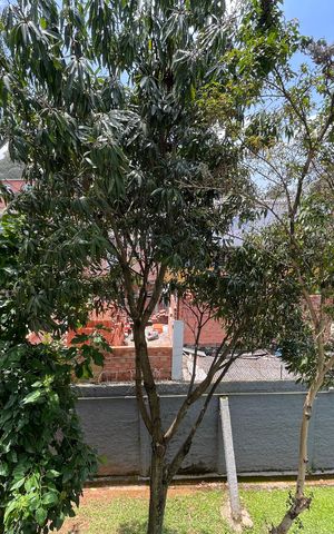 Apartamento para alugar com 54m², 2 quartos e 1 vaga Apartamento para alugar com 54m², 2 quartos e 1 vagaQuarto 1 - Vista