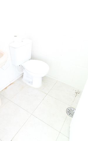 Casa para alugar com 450m², 4 quartos e 4 vagasEdícula Banheiro