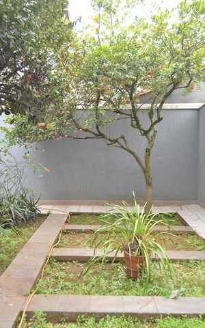 Casa à venda com 240m², 3 quartos e 2 vagasQuintal