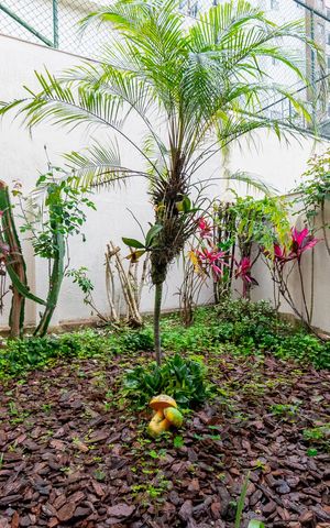 Casa à venda com 142m², 2 quartos e 1 vaga Casa à venda com 142m², 2 quartos e 1 vagaJardim