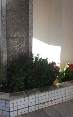 Apartamento à venda com 108m², 3 quartos e 2 vagasÁrea comum