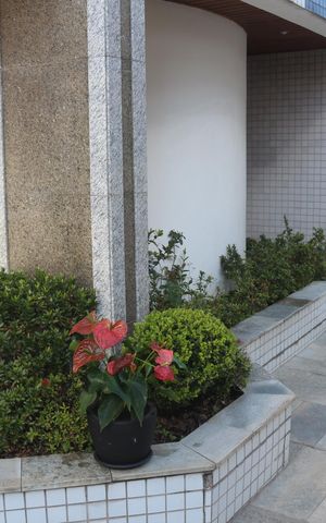 Apartamento à venda com 108m², 3 quartos e 2 vagasÁrea comum