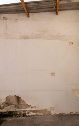 Casa para alugar com 240m², 1 quarto e sem vagaQuintal