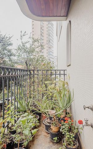 Apartamento à venda com 402m², 4 quartos e 4 vagasVaranda gourmet