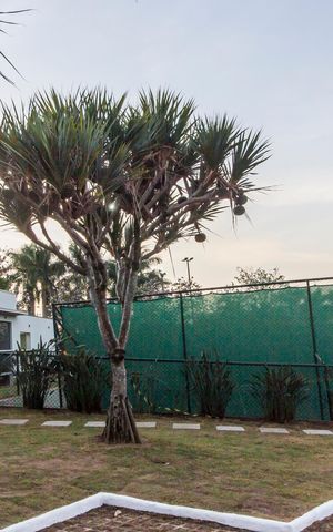 Casa de condomínio para alugar com 1500m², 4 quartos e 12 vagasQuadra Esportiva