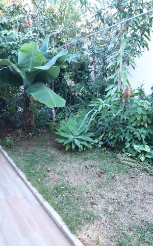 Casa à venda com 230m², 4 quartos e 5 vagasJardim