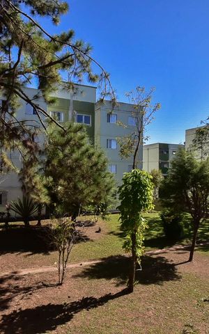 Apartamento para alugar com 48m², 2 quartos e 1 vagaVista do Quarto 1