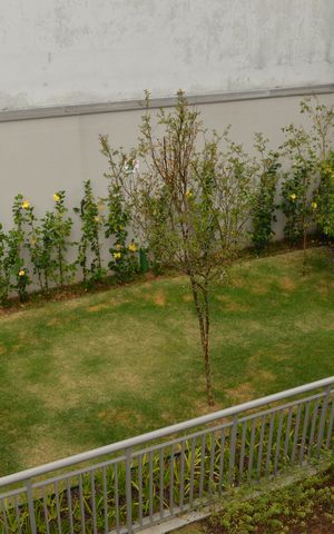 Apartamento para alugar com 113m², 2 quartos e 1 vagaÁrea Pet