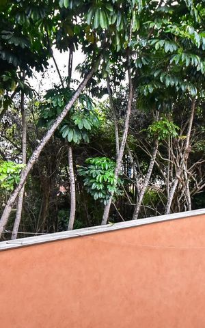Casa à venda com 715m², 5 quartos e 3 vagasVista da Suíte 1