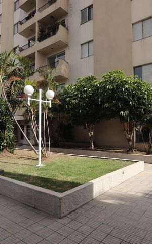 Apartamento para alugar com 106m², 3 quartos e 1 vagaÁrea comum - Jardim