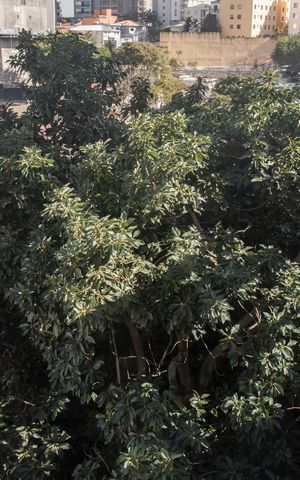 Studio à venda com 60m², 1 quarto e sem vagaVista da Varanda