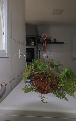 Apartamento para alugar com 104m², 2 quartos e 2 vagasÁrea de Serviço