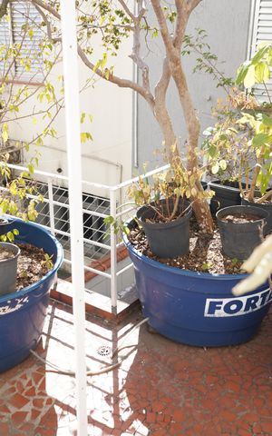 Casa à venda com 180m², 3 quartos e 3 vagasQuintal