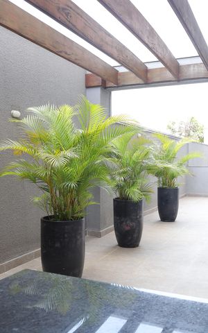 Apartamento à venda com 68m², 2 quartos e 1 vagaÁrea comum - Salão de festas - Churrasqueira