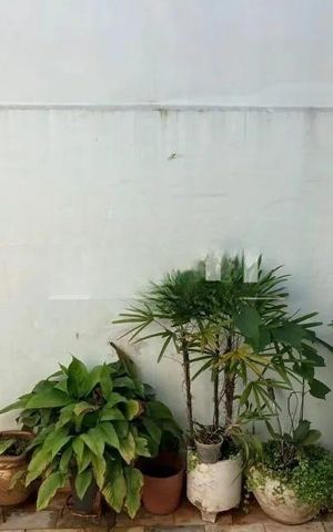 Casa à venda com 220m², 4 quartos e 2 vagas