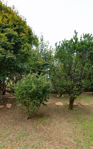 Casa à venda com 700m², 4 quartos e 6 vagas Casa à venda com 700m², 4 quartos e 6 vagasQuintal