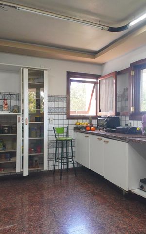 Casa para alugar com 594m², 2 quartos e 3 vagasCozinha