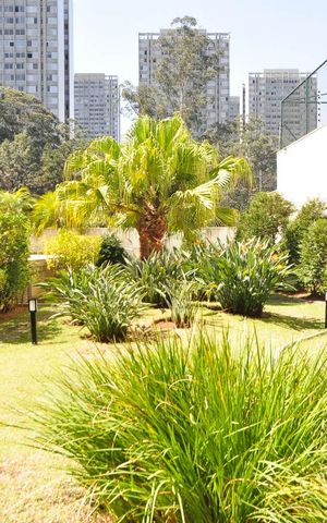 Apartamento à venda com 250m², 4 quartos e 4 vagas Apartamento à venda com 250m², 4 quartos e 4 vagasÁrea comum