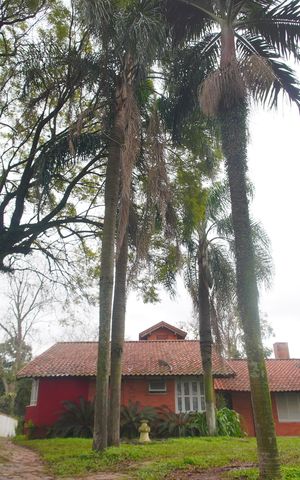 Casa à venda com 244m², 3 quartos e 2 vagasQuintal