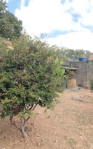 Casa para alugar com 160m², 3 quartos e 1 vagaQuintal