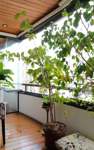 Apartamento para alugar com 72m², 2 quartos e 2 vagasVaranda