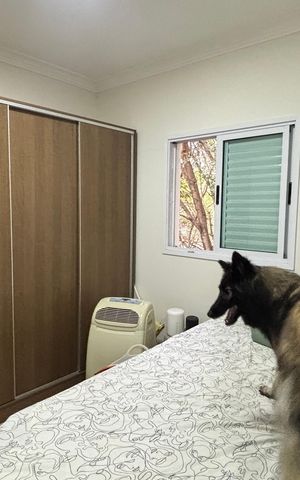 Apartamento à venda com 81m², 2 quartos e 1 vaga Apartamento à venda com 81m², 2 quartos e 1 vagaSuíte