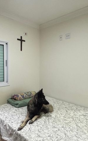 Apartamento à venda com 81m², 2 quartos e 1 vaga Apartamento à venda com 81m², 2 quartos e 1 vagaSuite