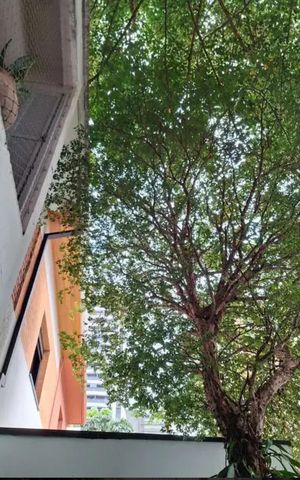 Casa à venda com 270m², 3 quartos e 1 vaga