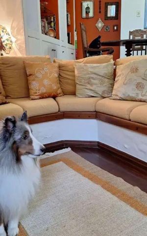 Casa à venda com 270m², 3 quartos e 1 vaga Casa à venda com 270m², 3 quartos e 1 vagaSala