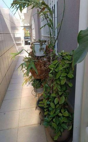 Casa à venda com 280m², 4 quartos e sem vaga