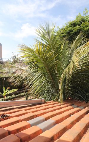 Casa para alugar com 450m², 4 quartos e 6 vagasVista da Sacada do Quarto 1