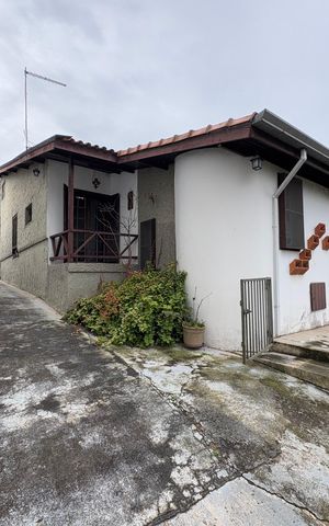Casa para alugar com 400m², 4 quartos e 3 vagasÁrea Externa